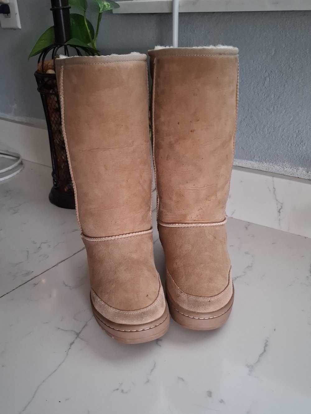 Ugg Women's Tall Suede Shearling Boots -